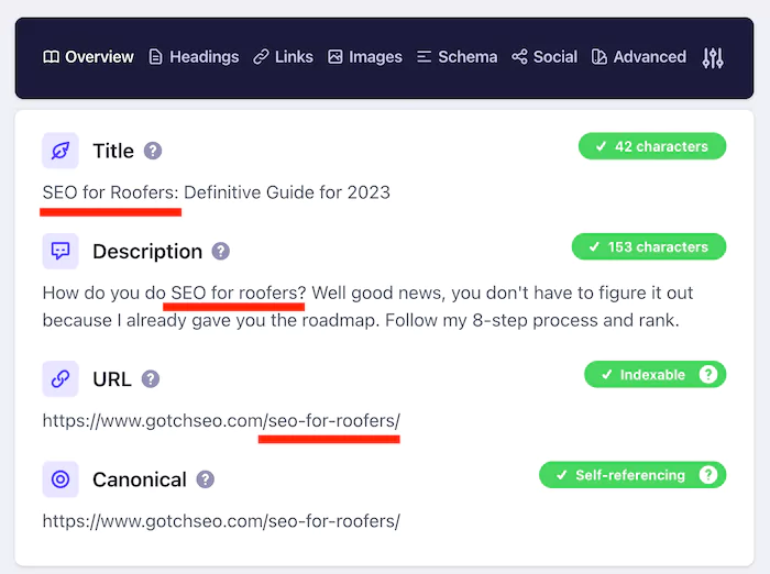 Detailed SEO Extension showing the Overview tab with title, meta description, canonical URL, and robots directives for a sample page