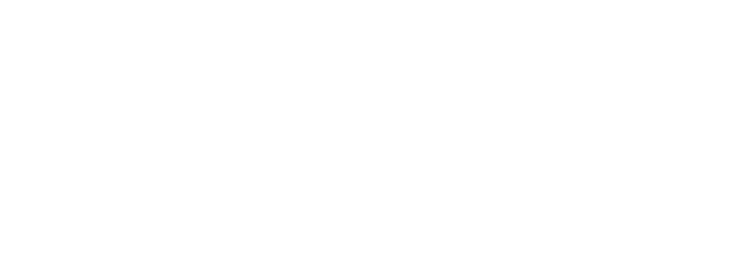 Cyber Essentials Plus logo.