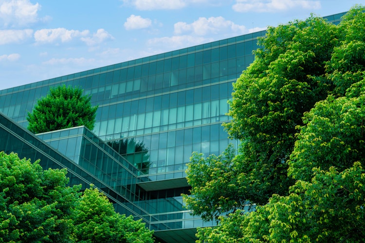 Modern glass office building surrounded by lush green trees, symbolising sustainability and eco-friendly architecture.