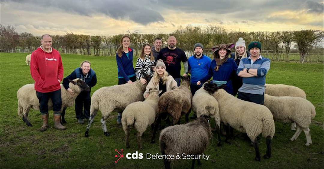 CDS DS employees KArl Manning, Anna Howlett, Ella Rees, Emily Brooks, Dan Riches, John Dagger, Ian Morrison stood in a field surrounded by sheep.
