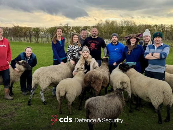 CDS DS at The Farm Animal Sanctury CDS DS employees KArl Manning, Anna Howlett, Ella Rees, Emily Brooks, Dan Riches, John Dagger, Ian Morrison stood in a field surrounded by sheep.