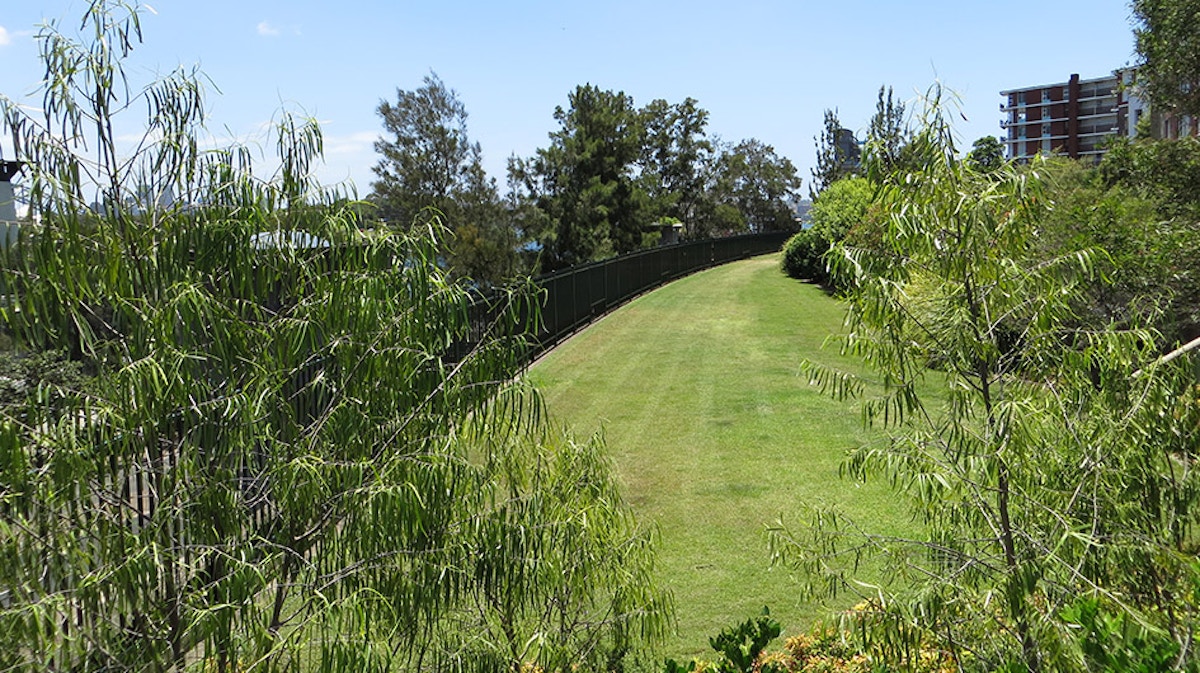 A curved grassy path bordered by a black fence, surrounded by trees and bushes, with buildings visible in the background under a clear sky.