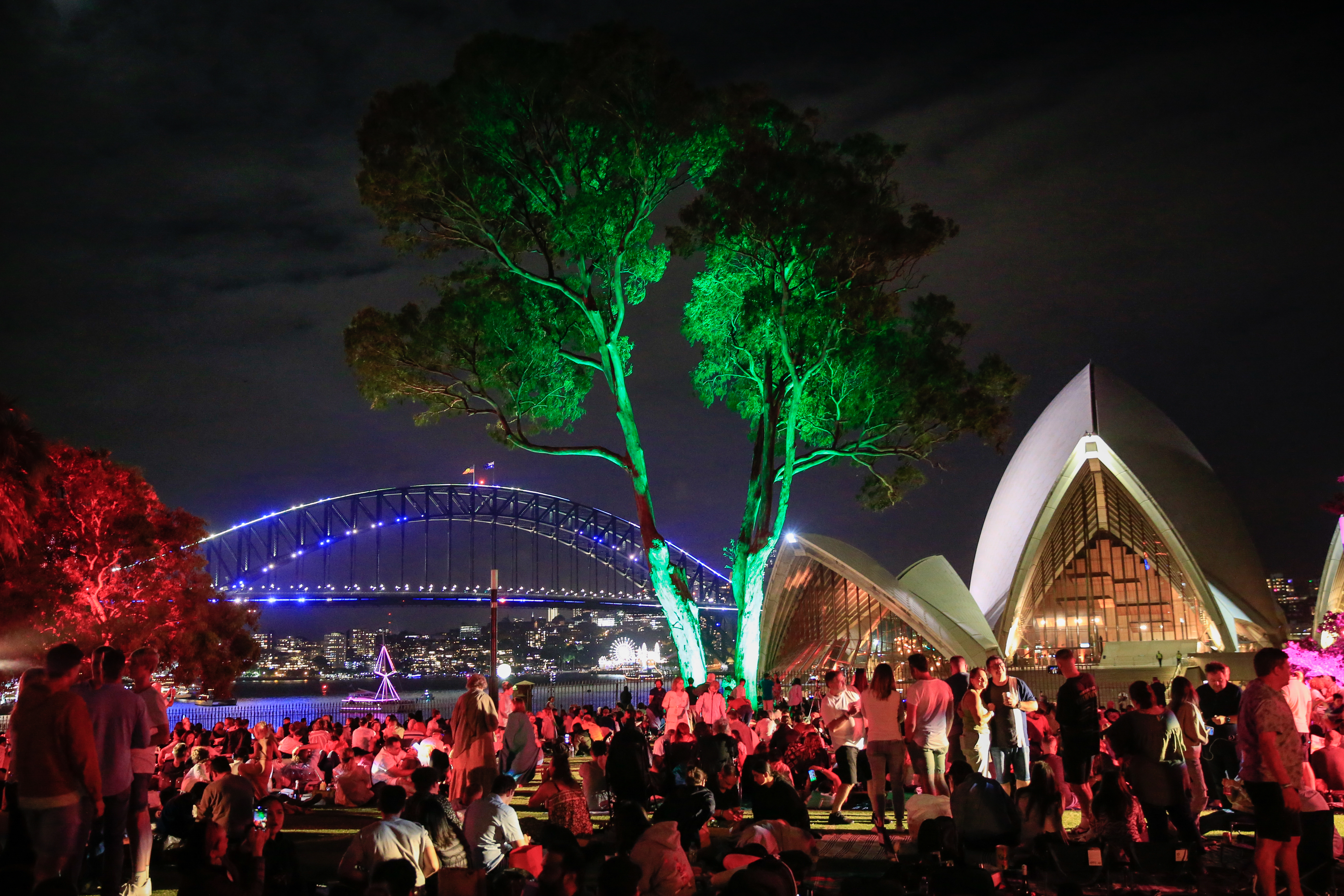 A large crowd gathers near the Sydney Opera House at night, with colourful lights illuminating nearby trees and the Sydney Harbour Bridge in the background.