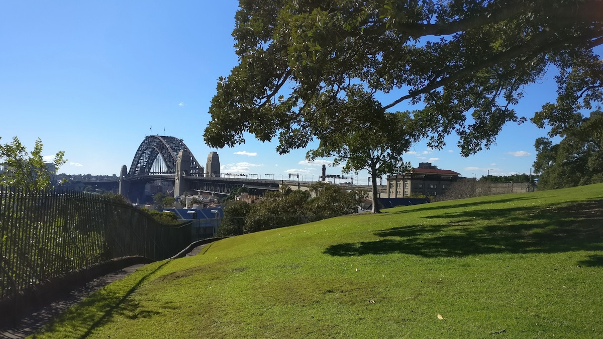 A grassy park with a large tree in the foreground and the Sydney Harbour Bridge in the background under a clear blue sky.