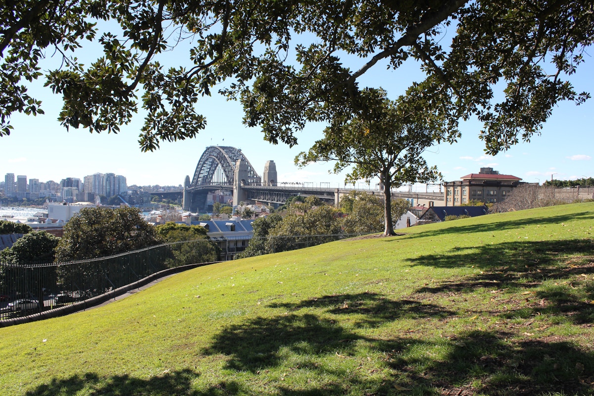 A grassy park with scattered trees overlooks Sydney Harbour Bridge and city buildings under a clear blue sky.