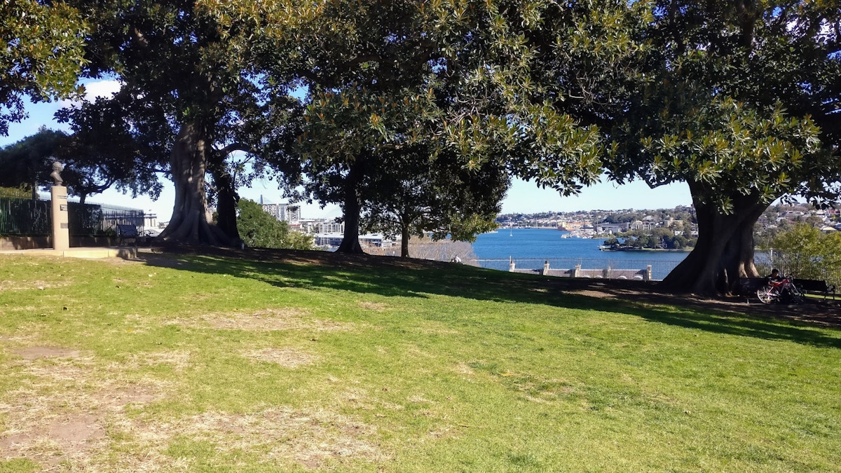 A grassy park with large trees in the foreground, overlooking a blue river or bay with buildings and boats in the distance.