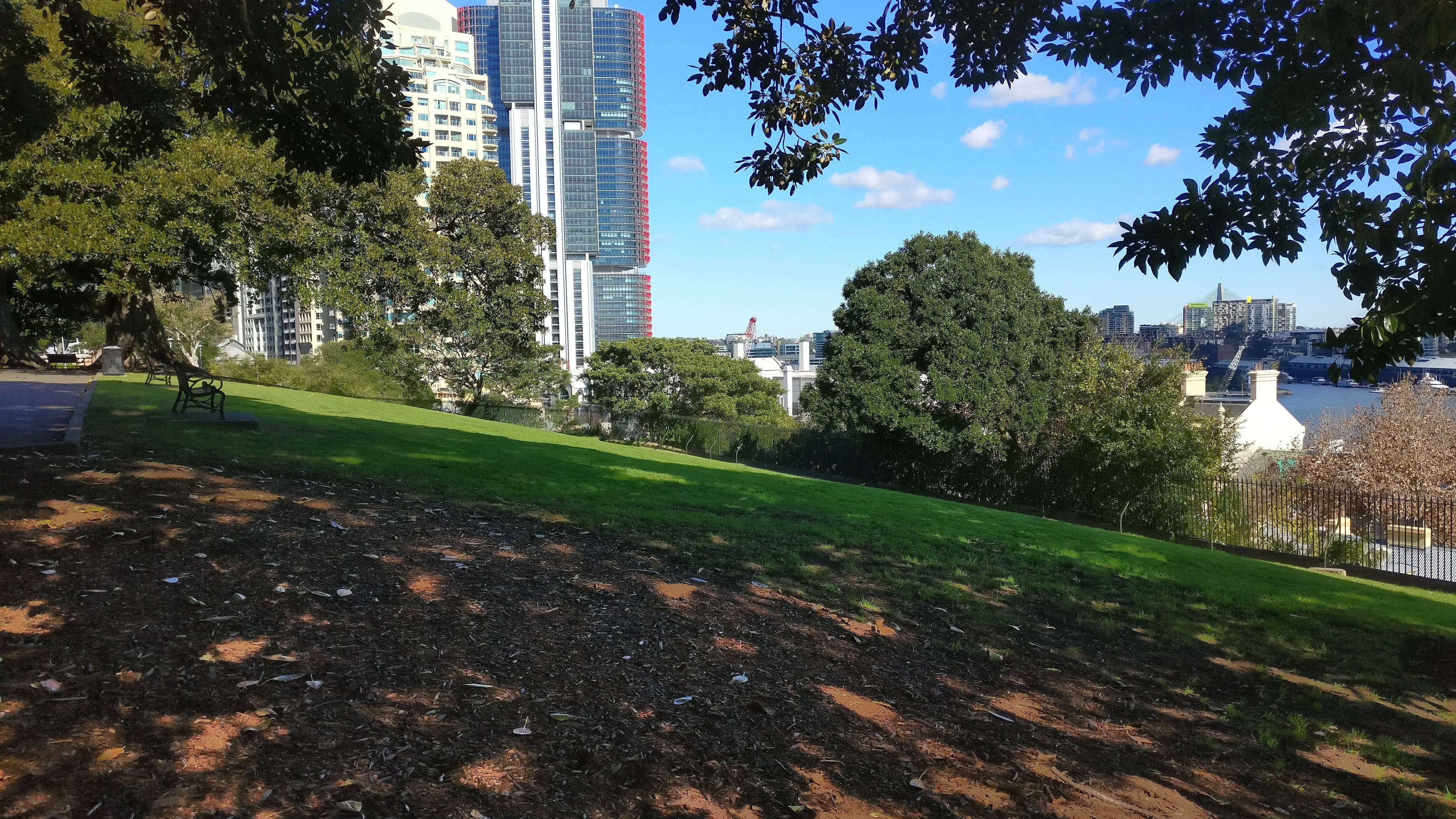 Observatory Hill Park (9)