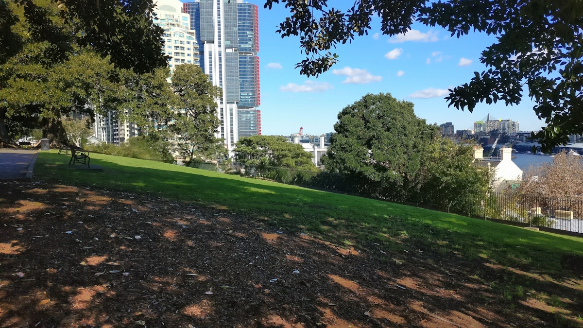 A grassy park with trees in the foreground, modern high-rise buildings in the background, and a river visible on a sunny day.