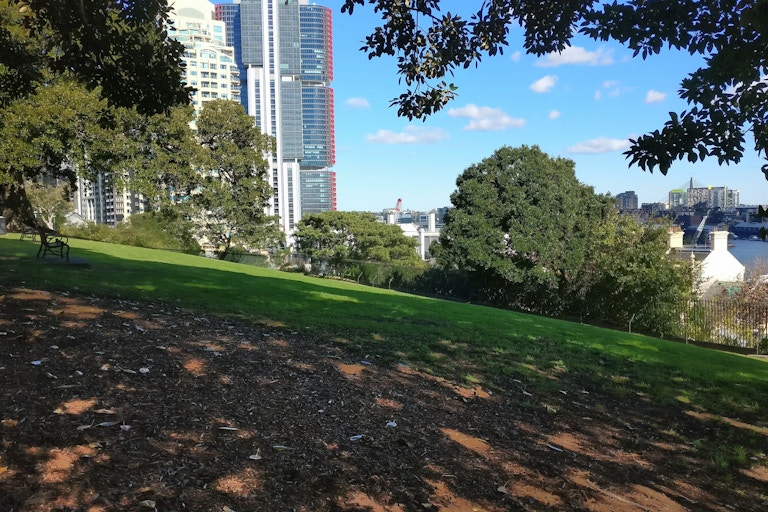 Observatory Hill Park (9)
