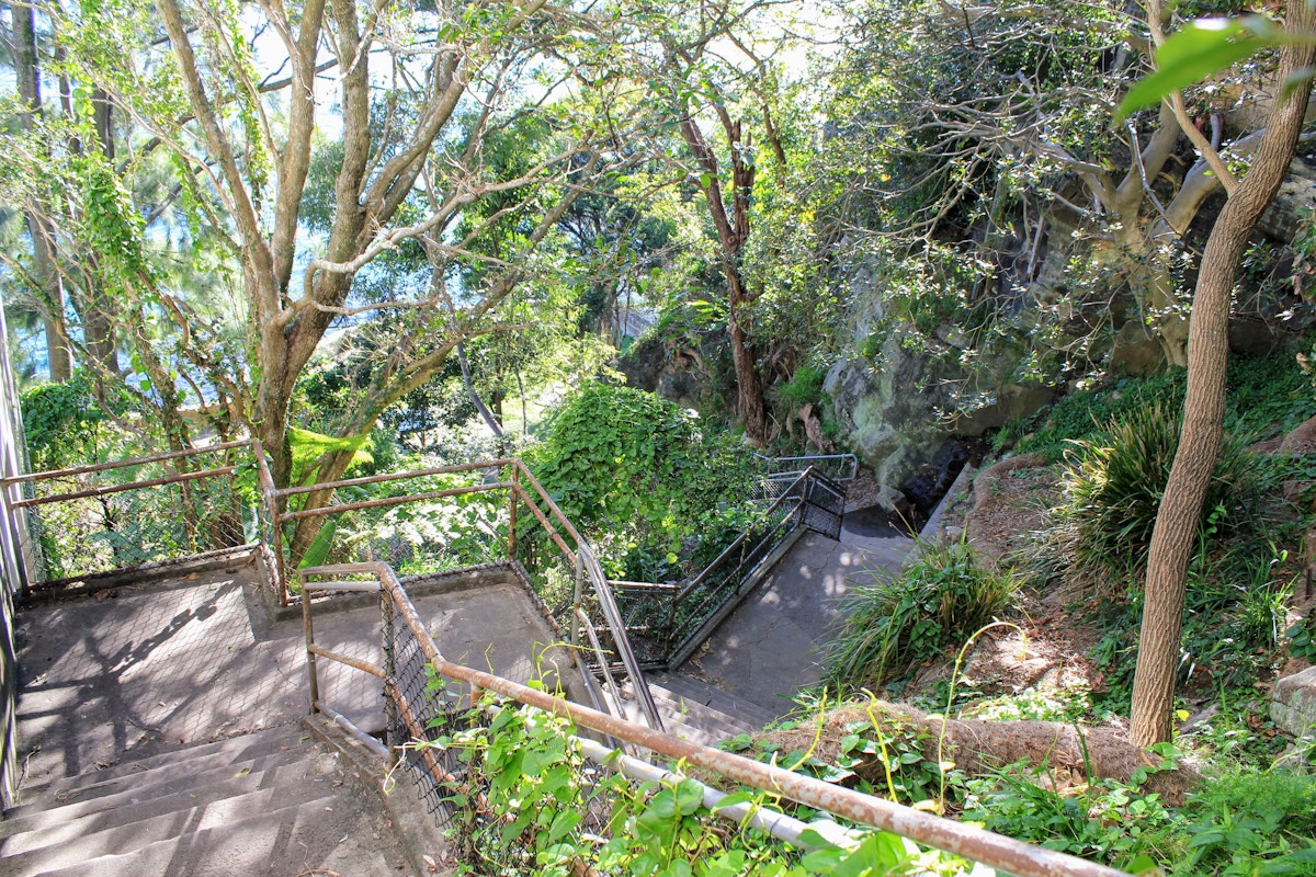 Concrete steps with metal railings descend through a lush, leafy garden area with trees, shrubs, and sunlight filtering through the branches.