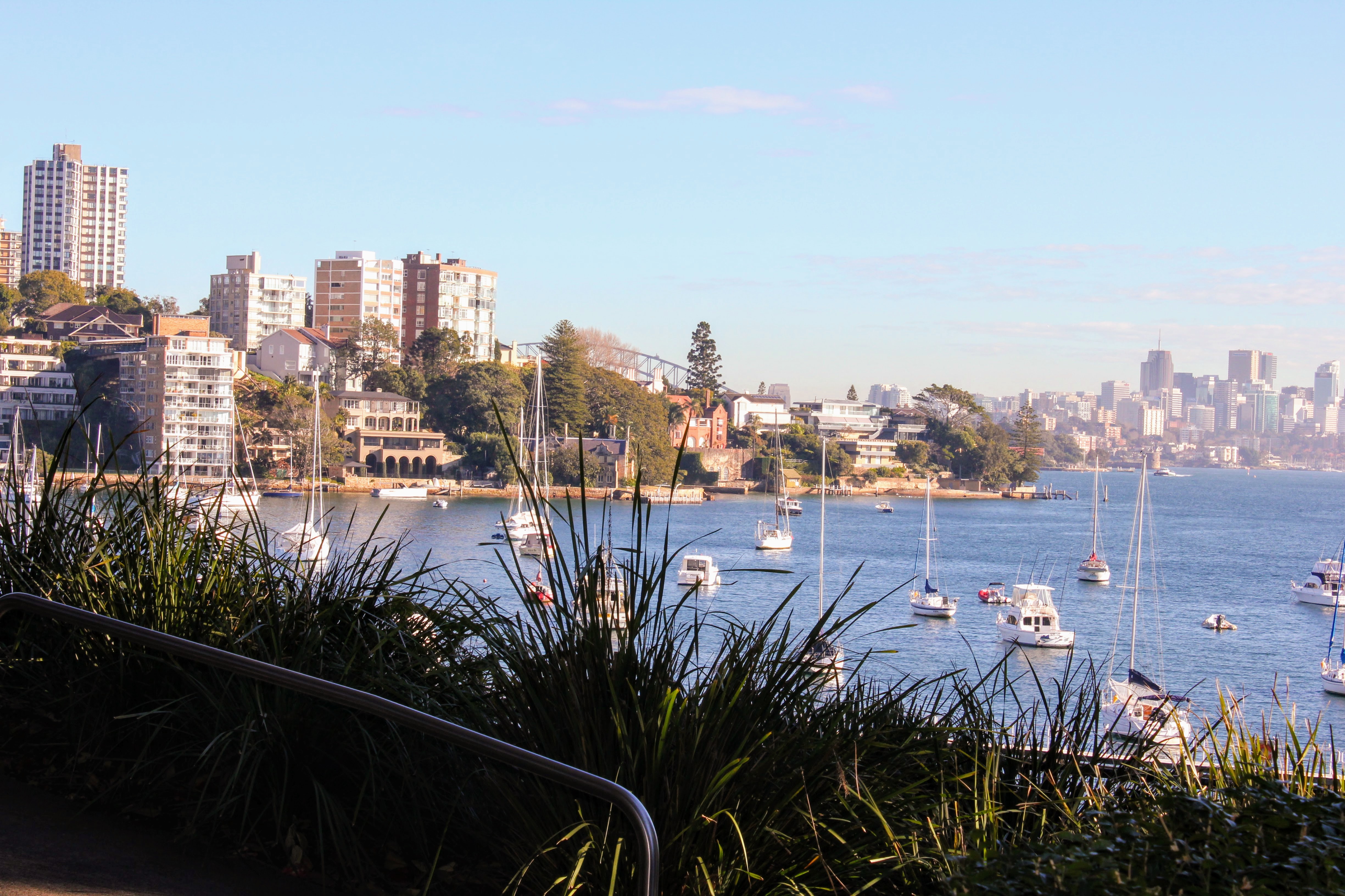 Murray Rose Pool & Blackburn Gardens (1)