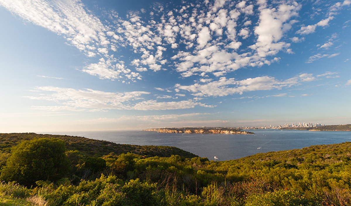 A coastal landscape with green bushes in the foreground, blue water, and city buildings visible on the distant shoreline under a sky with scattered clouds.