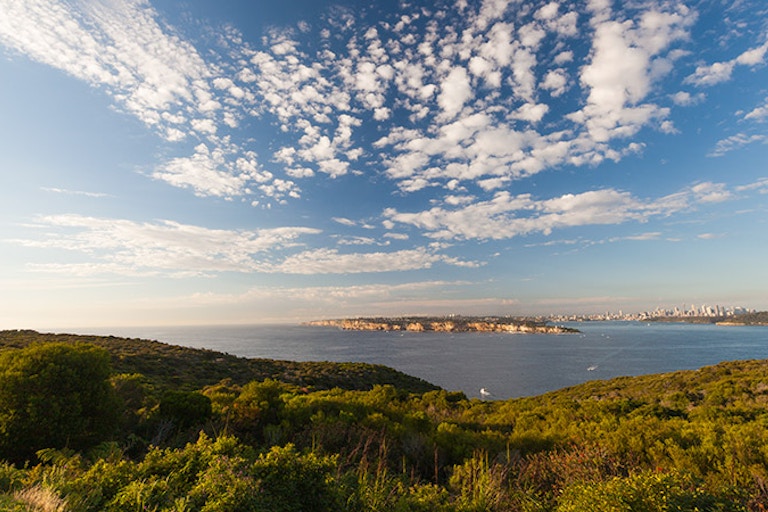 1. nye-north-head - David Finnegan (c) DPIE