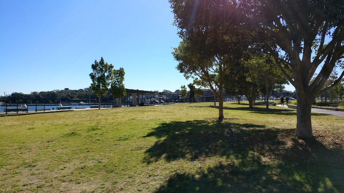 A grassy park with scattered trees, water in the background, and a clear blue sky on a sunny day.