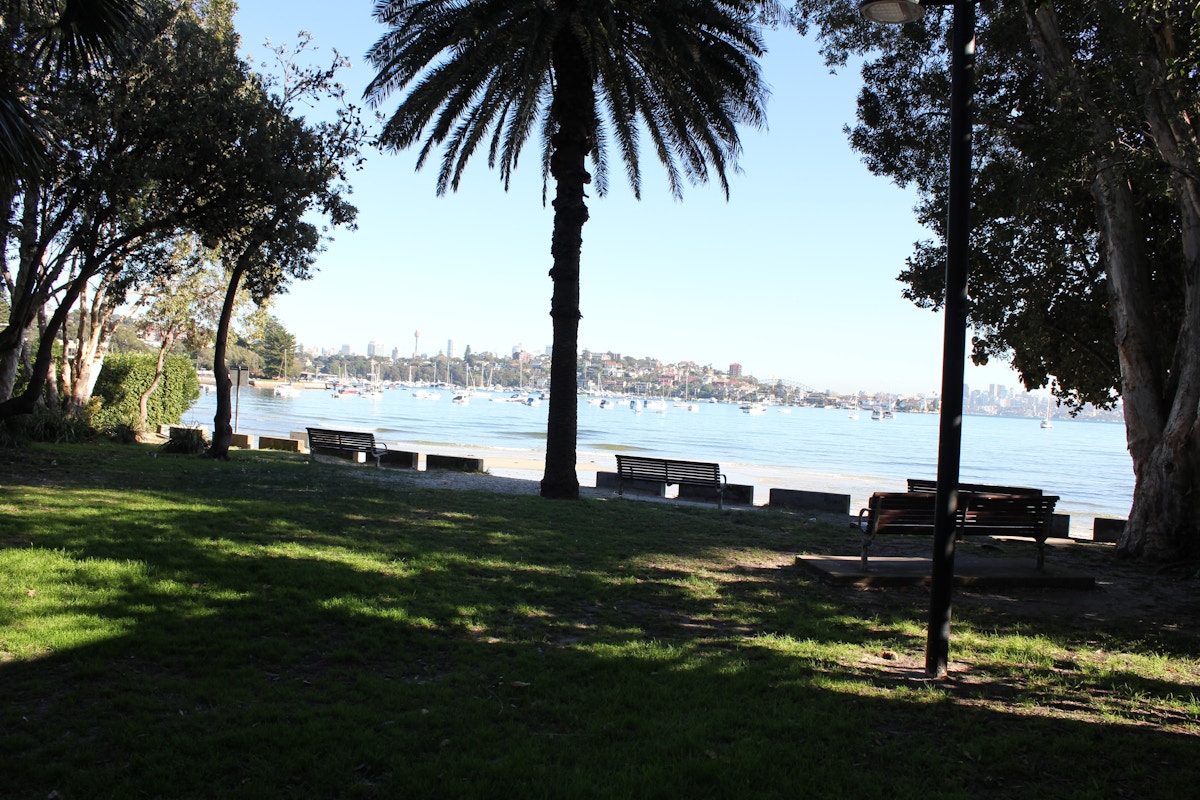 Shaded park with benches, palm trees, and a view of a calm bay with boats; city skyline visible in the background under a clear sky.