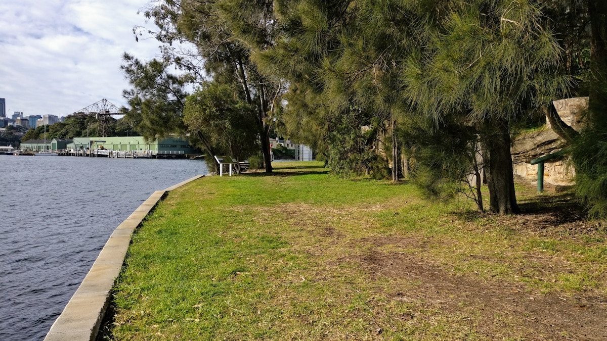 A grassy area with trees beside a river, bordered by a low concrete wall, with buildings visible in the background under a partly cloudy sky.