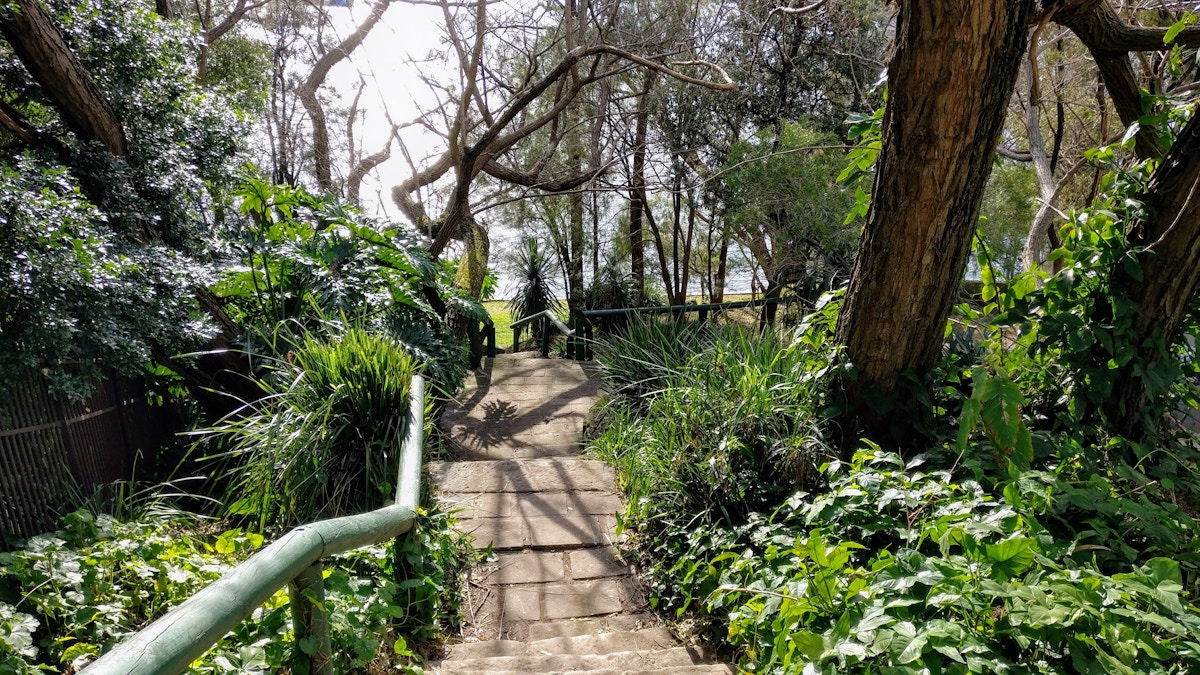 Stone steps with green railings descend through dense, leafy vegetation and trees toward a sunlit area and water in the background.