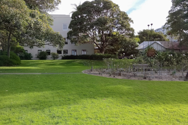 Thornton Park (5)
