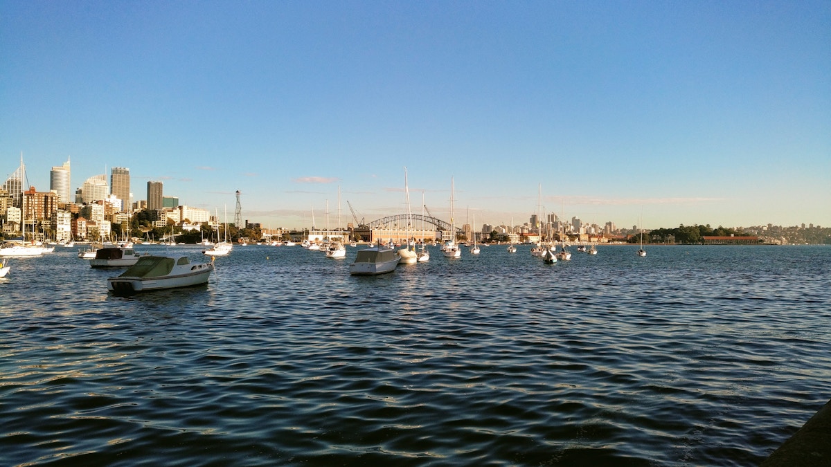 Numerous boats float in a harbor with a city skyline and a large bridge visible in the background under a clear blue sky.