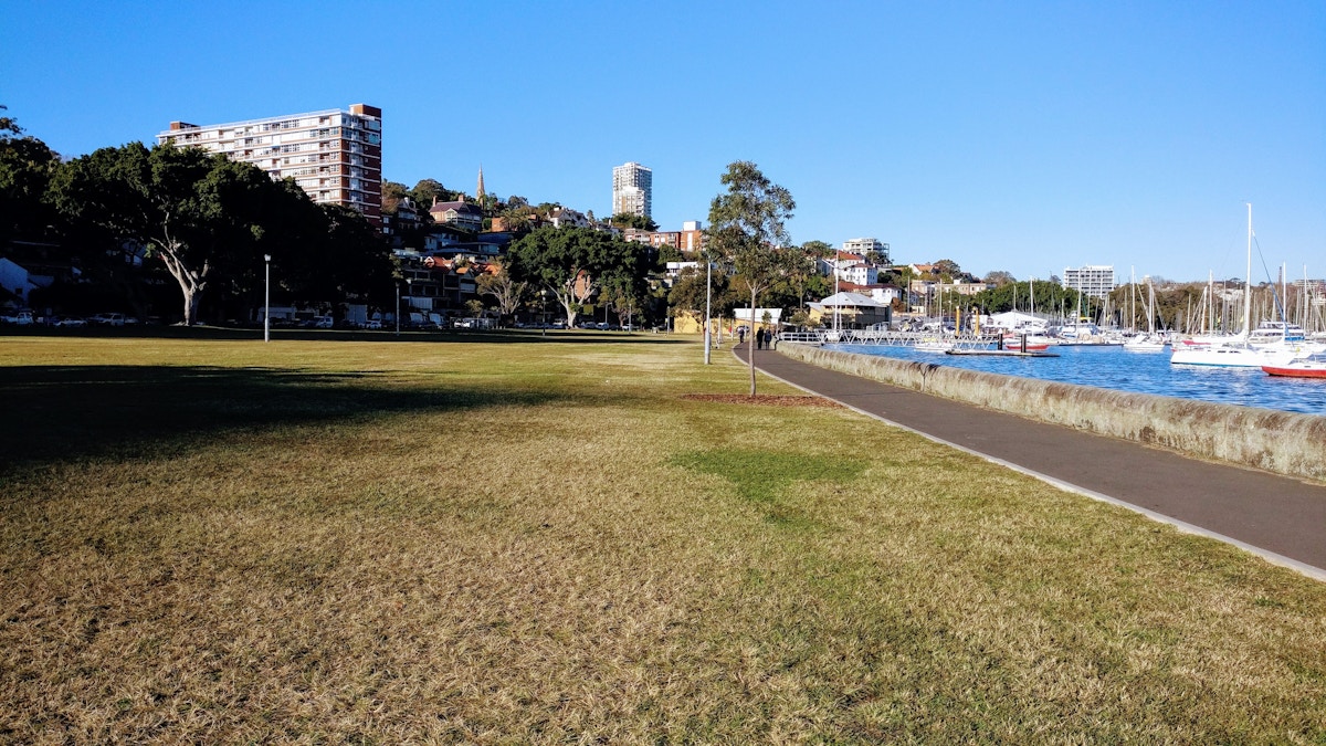 A grassy park with a paved path runs alongside a marina with sailboats, with apartment buildings and trees in the background under a clear blue sky.