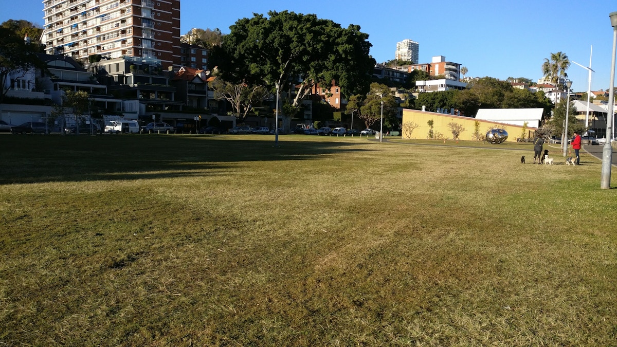 Grassy open park with scattered trees, buildings in the background, a mural on one wall, and a person walking a dog near the right side.