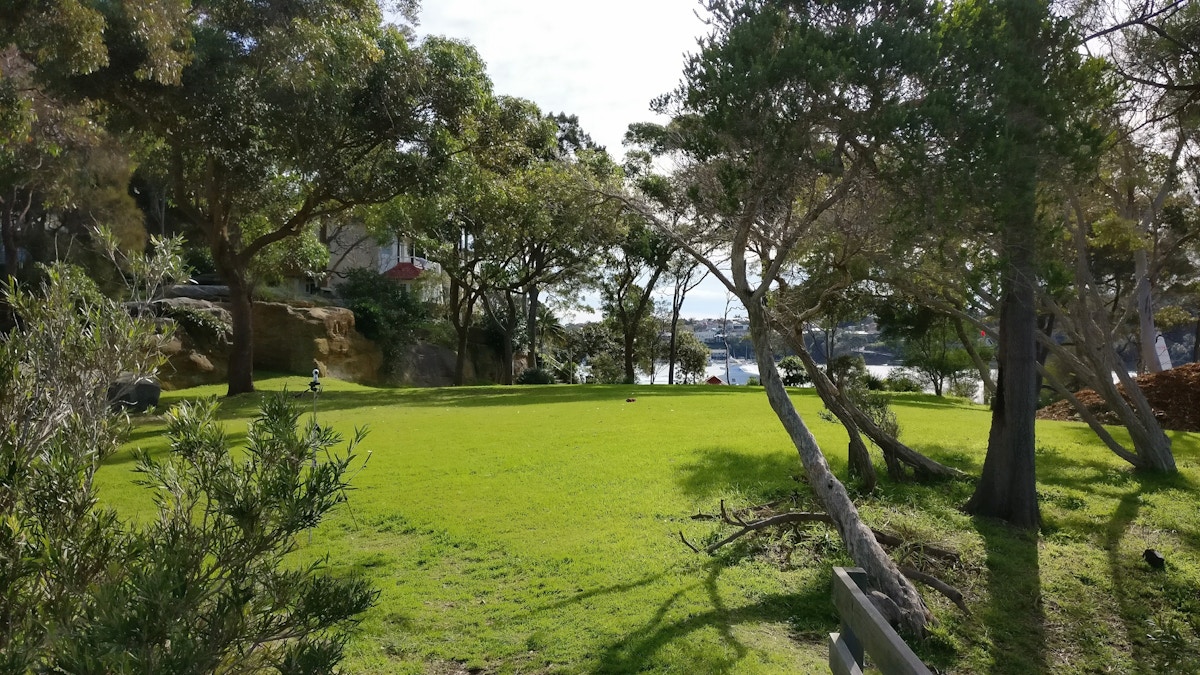 A grassy clearing bordered by trees with sunlight filtering through, overlooking water and distant buildings in the background.