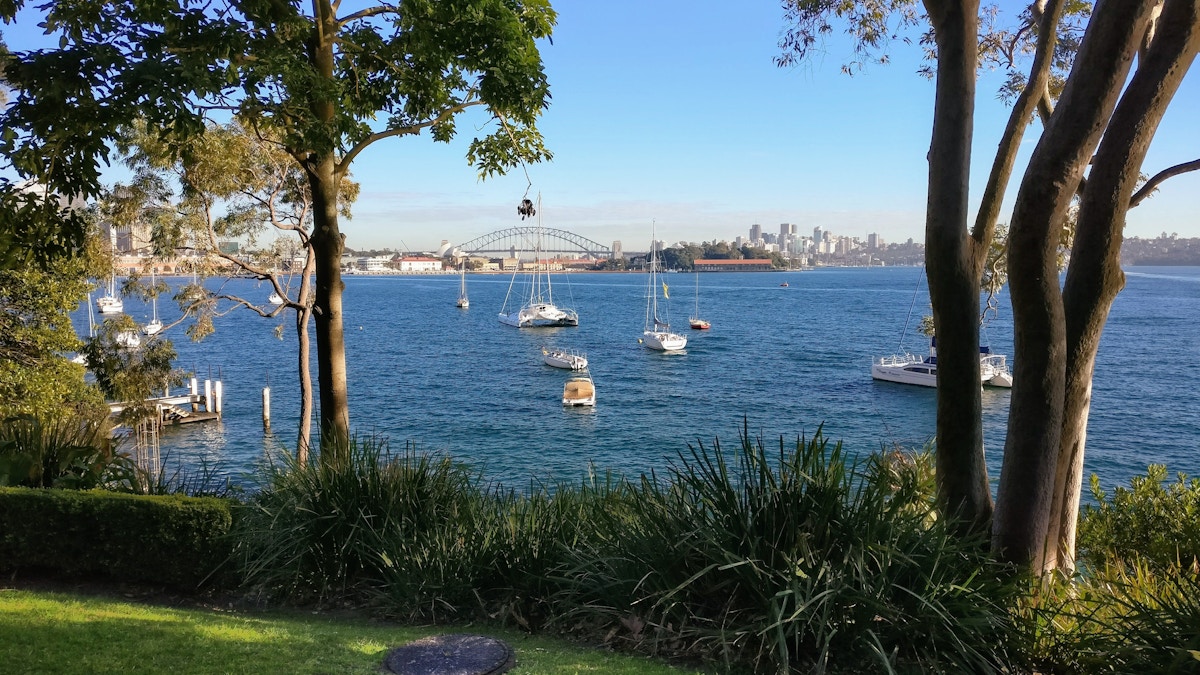 View through trees of sailboats anchored in blue water, with the Sydney Harbour Bridge and city skyline visible in the background under a clear sky.