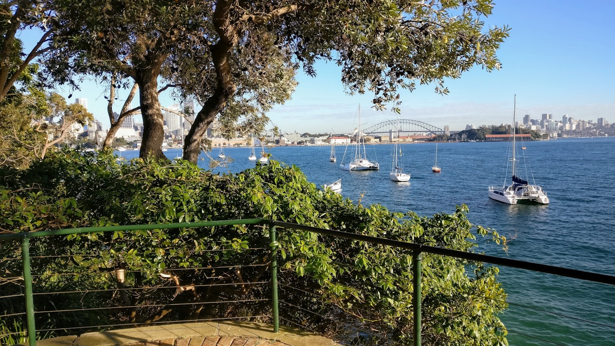 View of sailboats on blue water with the Sydney Harbour Bridge and city skyline in the background, seen from behind green railings and trees.