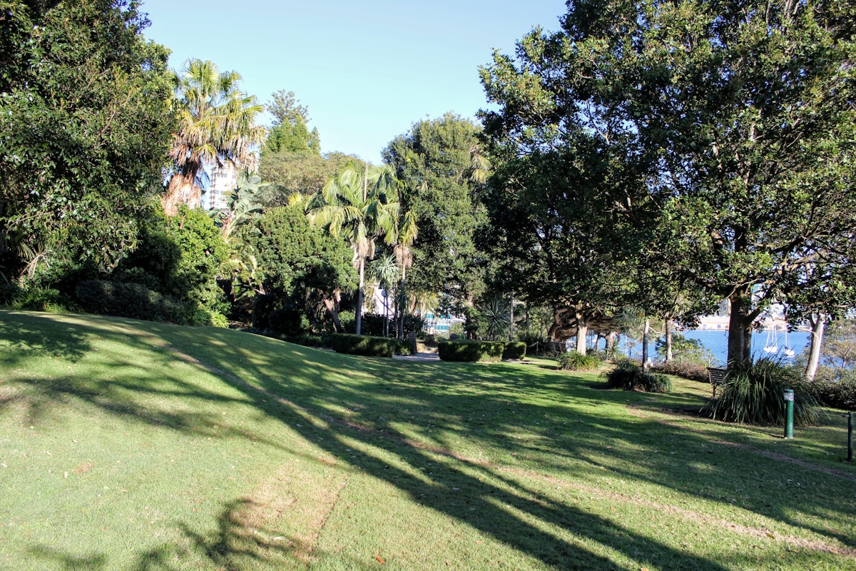 A grassy park area with scattered trees, some in shadow and some in sunlight, with a glimpse of water visible in the background.