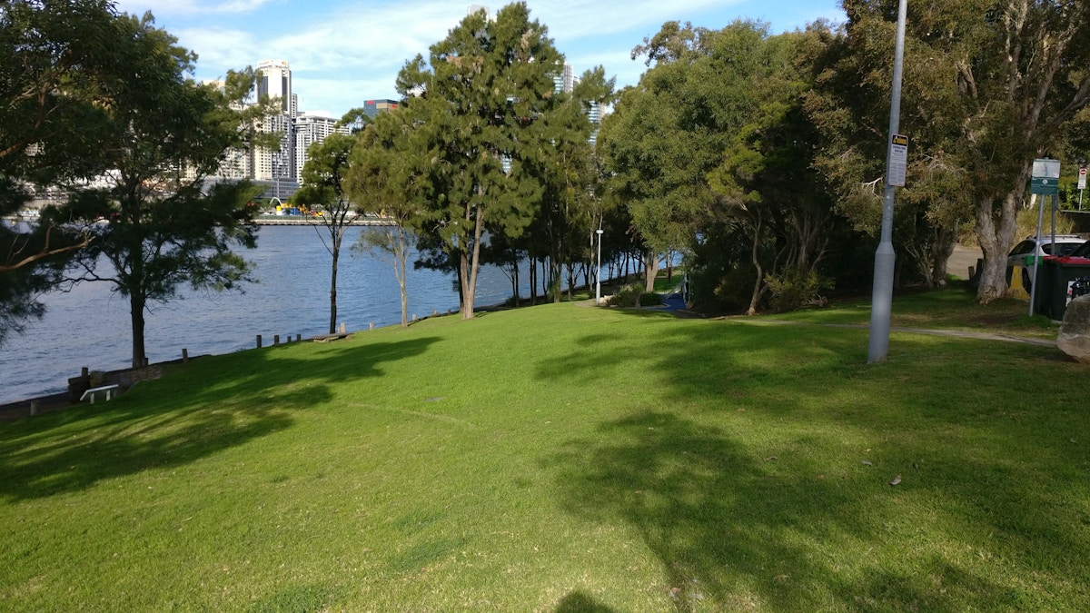 Grassy park area with trees next to a river, city buildings visible across the water, and blue sky overhead.
