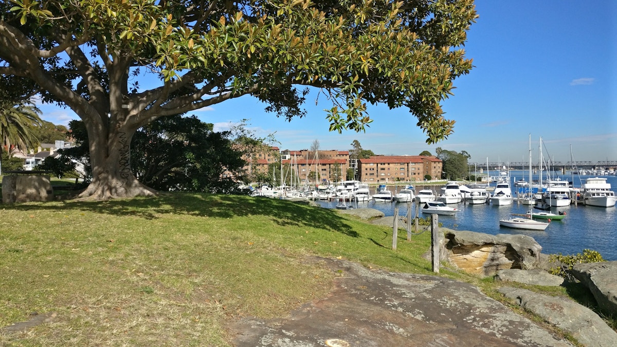 A large tree shades a grassy area near a marina with docked boats, apartment buildings, and a clear blue sky in the background.