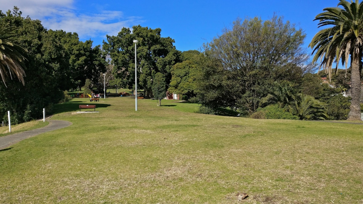A grassy park with a paved path, lamp post, large trees, and a bench under clear blue sky.