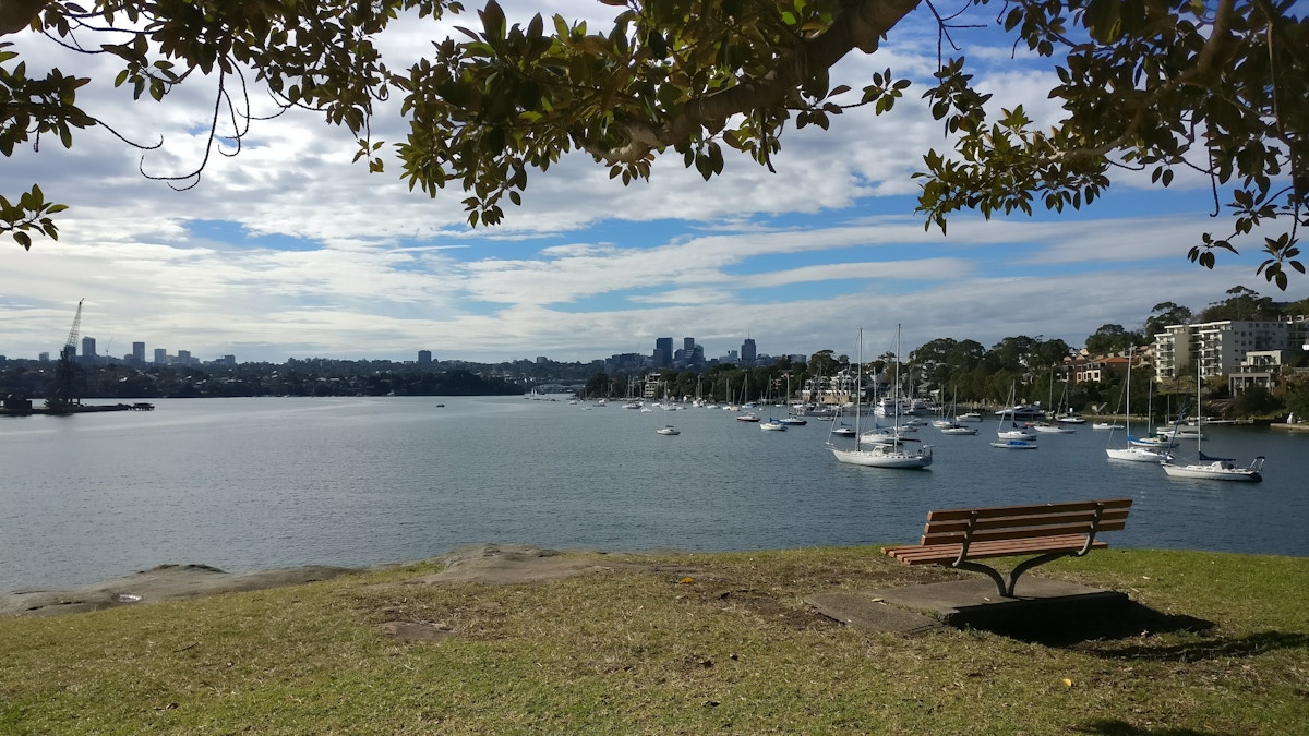 A wooden bench faces a harbor with anchored boats under a partly cloudy sky, with city buildings visible in the background and a tree branch overhead.