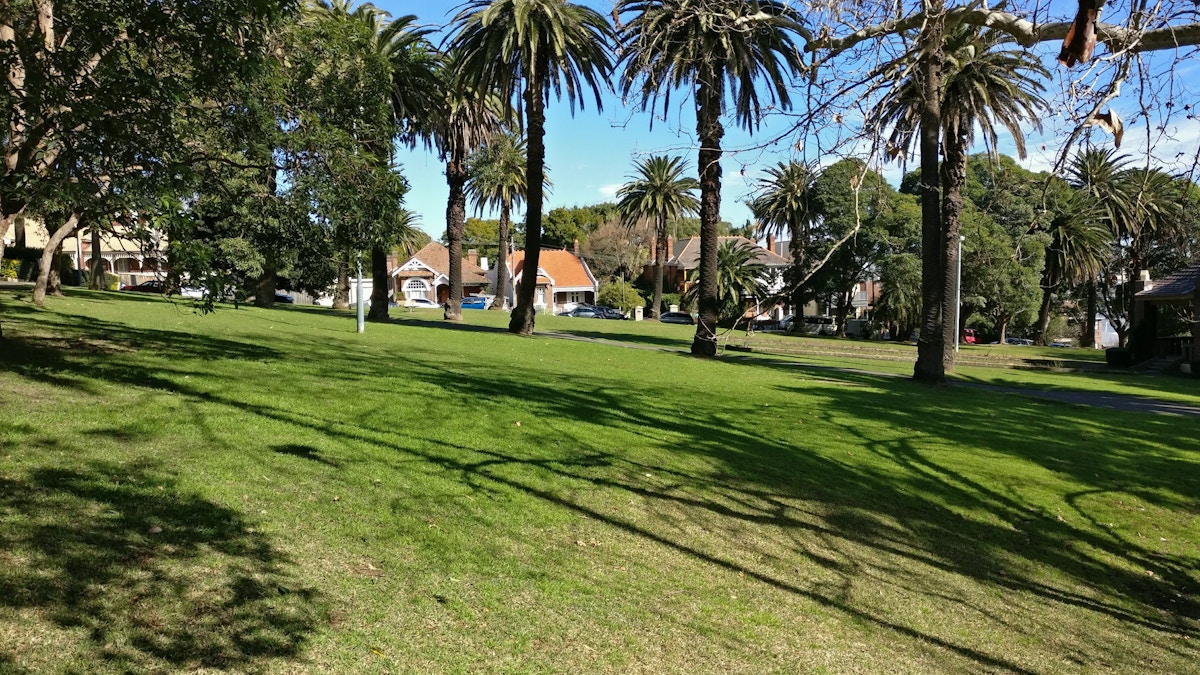 Sunny park with green grass, tall palm trees, and houses in the background under a blue sky. Shadows of trees fall across the lawn.
