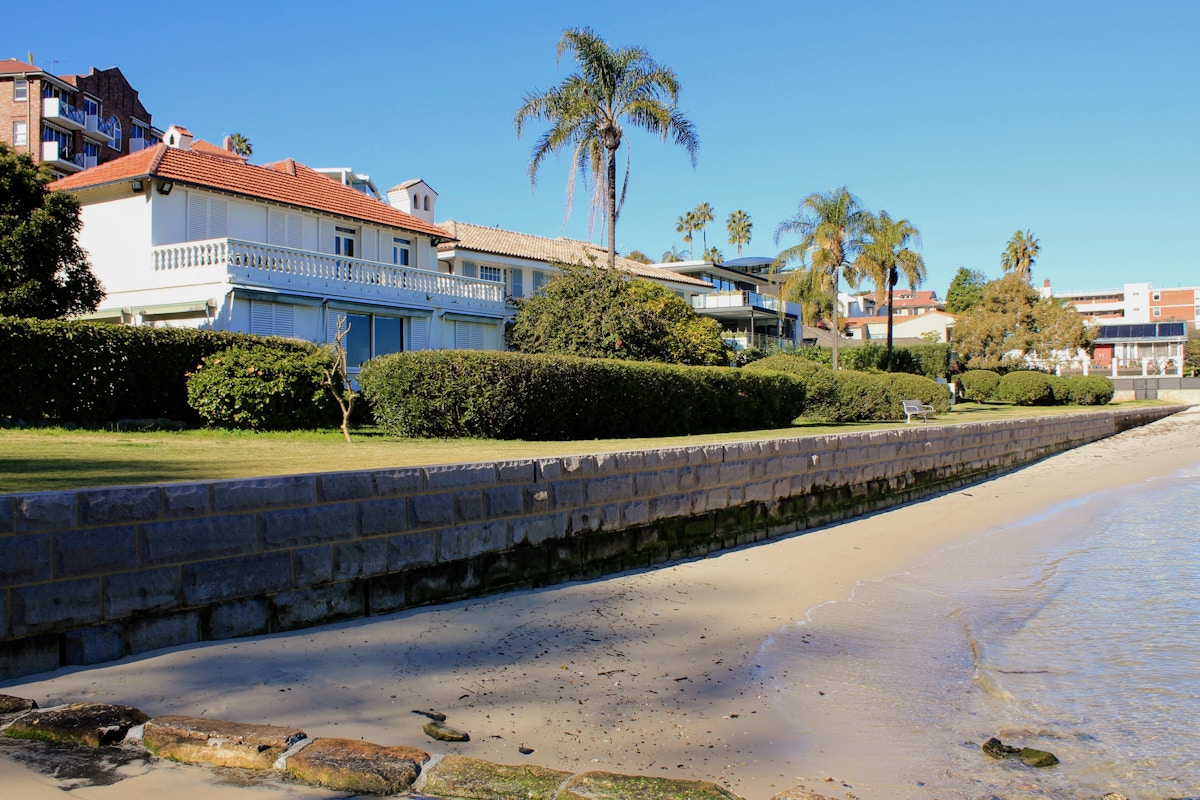 Beachfront houses with palm trees, trimmed bushes, and a stone seawall beside calm sandy shoreline under a clear blue sky.