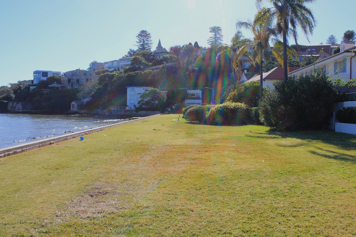Lawn next to a seaside, bordered by houses, trees, and palm trees, with sunlight creating lens flares in the image.