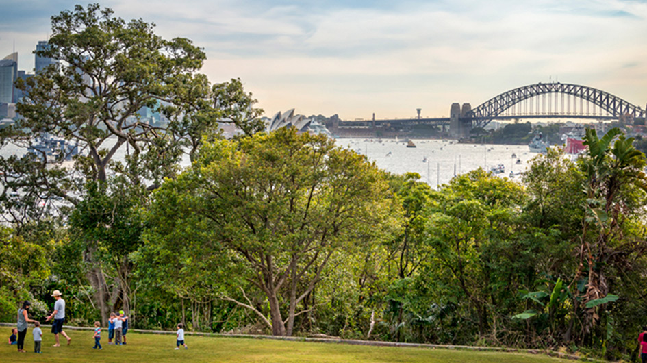 People walk and play on a grassy hill with trees in the foreground and Sydney Harbour Bridge and Opera House visible in the background.