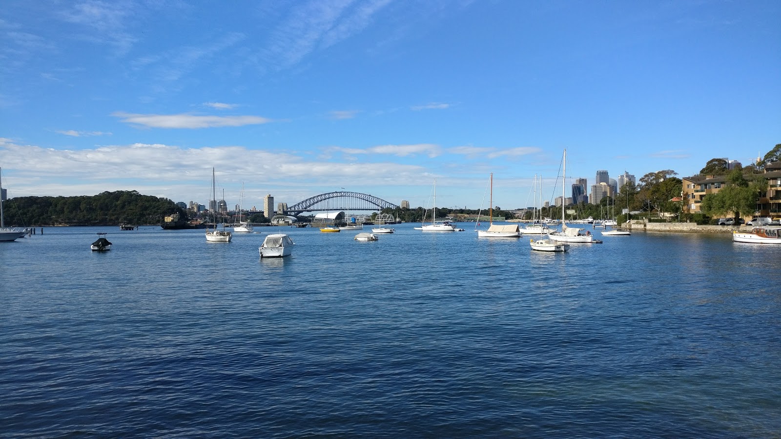 Birchgrove Park (11)