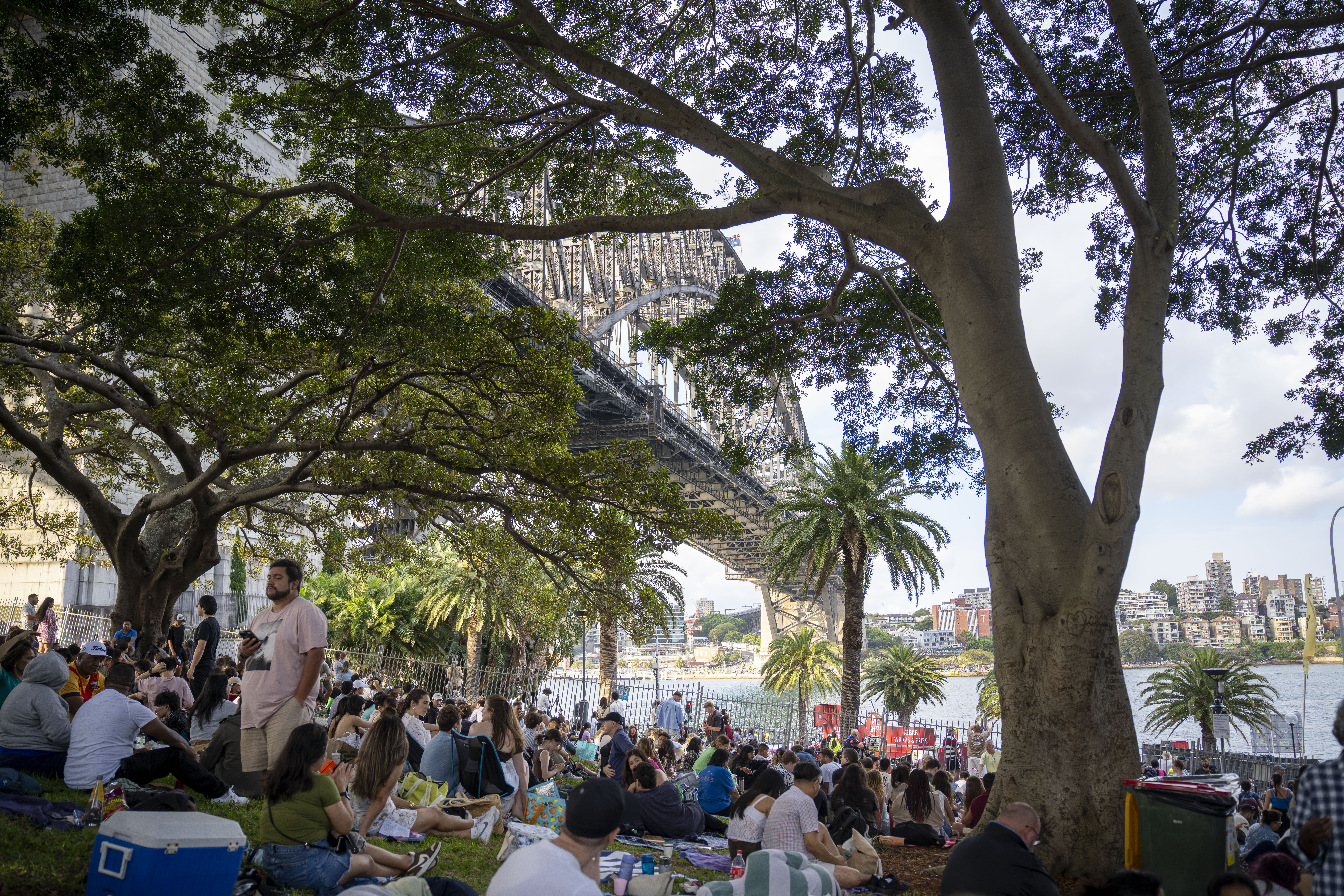 People sitting and relaxing on the grass under large trees near the Sydney Harbour Bridge, with water and city buildings visible in the background.