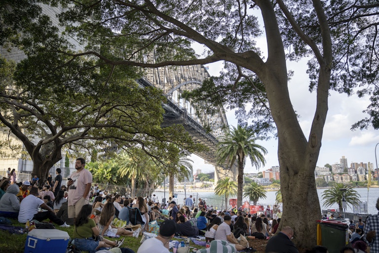 People sitting and relaxing on the grass under large trees near the Sydney Harbour Bridge, with water and city buildings visible in the background.