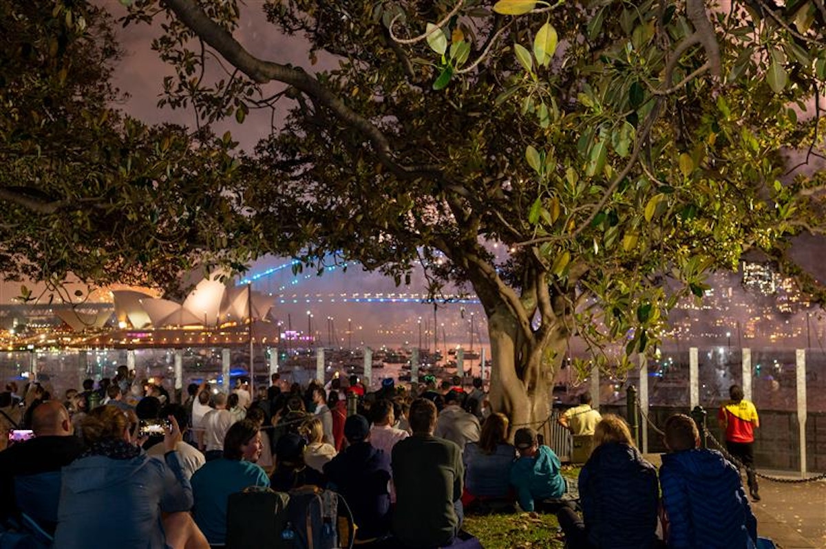 A crowd sits under a tree at night, watching fireworks over Sydney Harbour near the Opera House and Harbour Bridge.