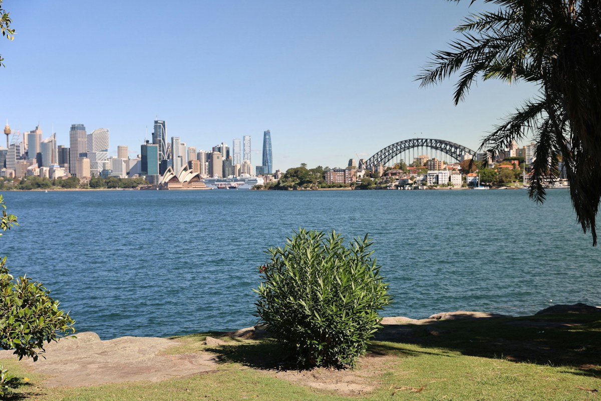 View of Sydney skyline with the Opera House and Harbour Bridge across the water, framed by greenery in the foreground under a clear sky.