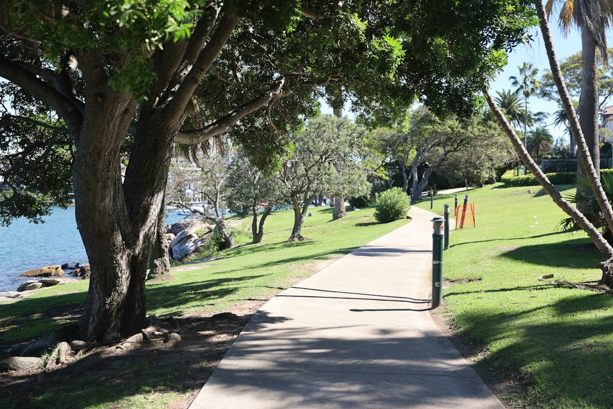 A paved path runs through a park with green grass, large trees, and a view of the water on the left under a sunny sky.