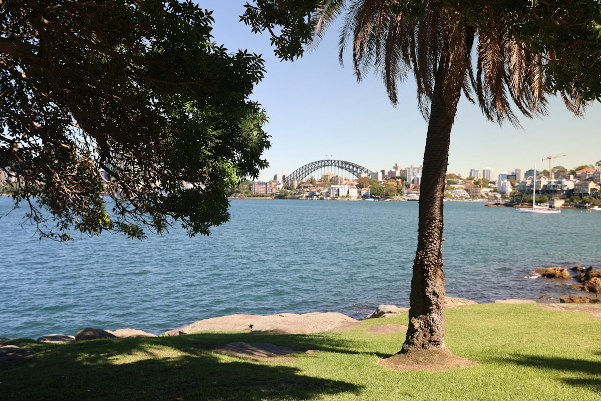 A view of Sydney Harbour with the Harbour Bridge in the background, seen from a grassy park shaded by trees near the water’s edge.