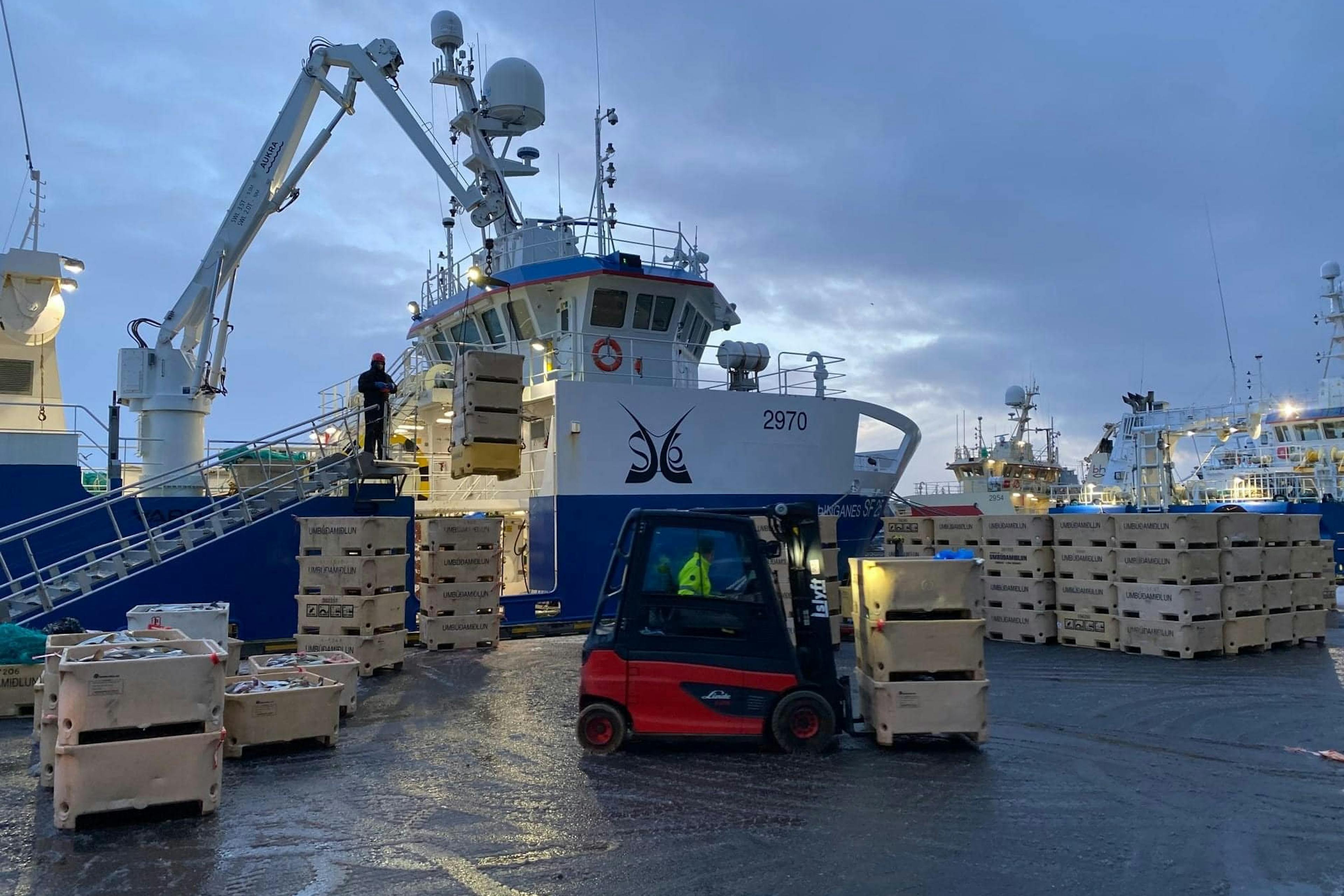 Landaður afli árið 2021