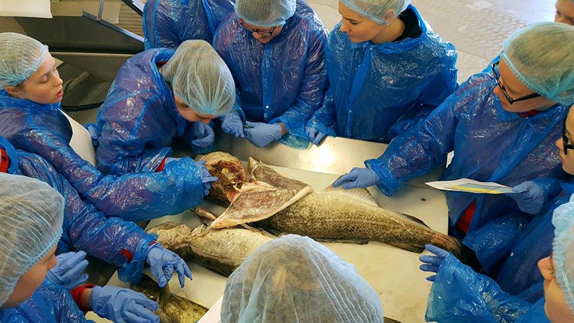 Faxaflóahafnir styðja áfram við Sjávarútvegsskóla unga fólksins