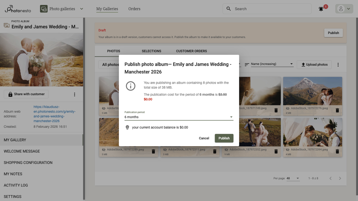Gallery publication dialog with cost and period information