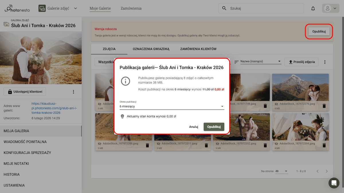 Dialog publikacji galerii z informacją o kosztach i okresie