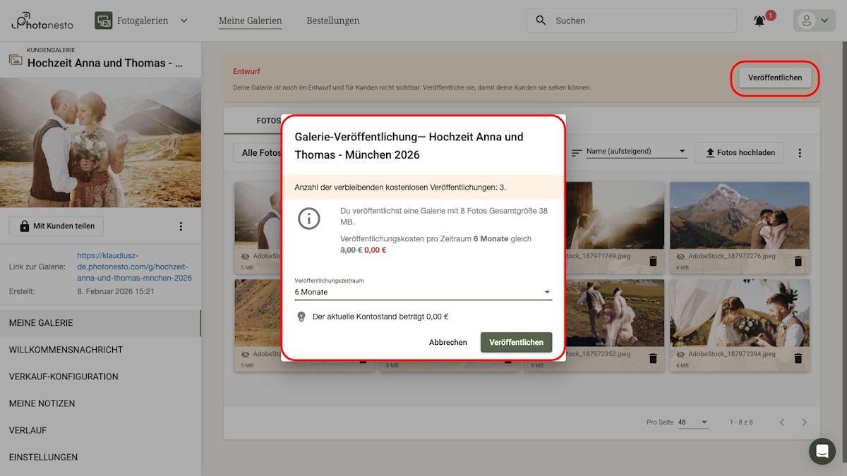 Dialog zur Galerie-Veröffentlichung mit Kosten und Zeitraum
