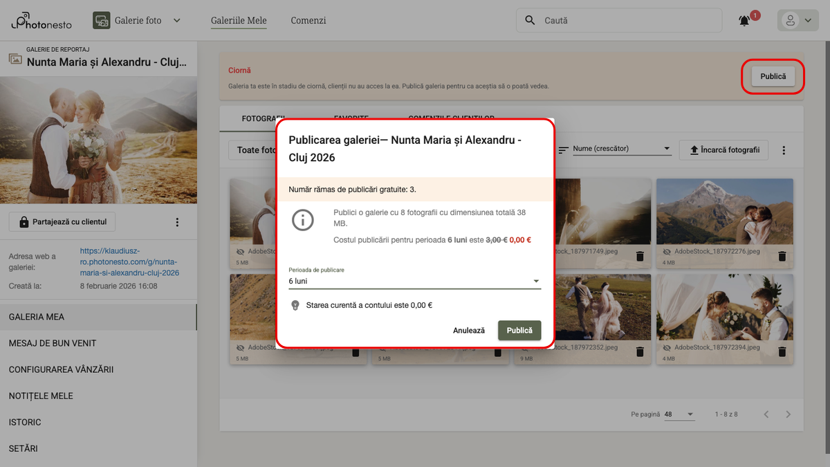 Dialogul de publicare a galeriei cu informații despre costuri și perioadă